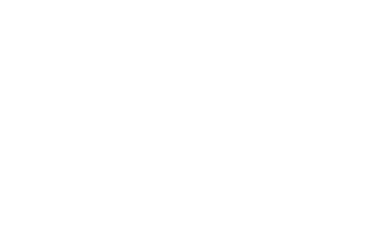 OrangeOtterBuildOut_OOT_TypeOnly_Reversed_WithoutToys