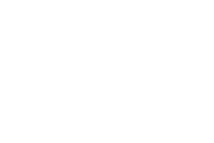 OrangeOtterBuildOut_RGB_OOT_TypeOnly_Rev_ToyStore